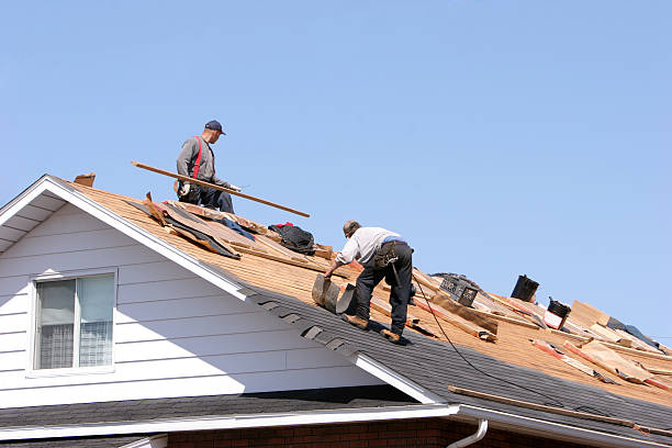 Best Skylight Installation and Repair  in North Crossett, AR